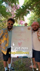 LE CHANT DES CIGALES