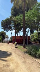 Inauguran un semáforo LGTBI en Esplugues (Barcelona)