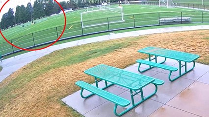 Watch: Giant sinkhole swallows Illinois football pitch