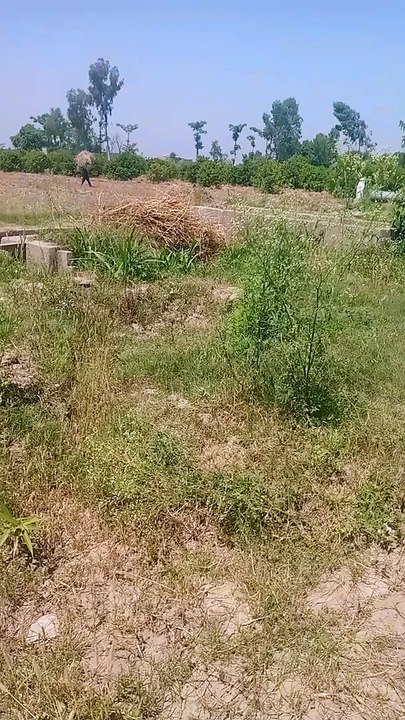 VID_20240508_103226