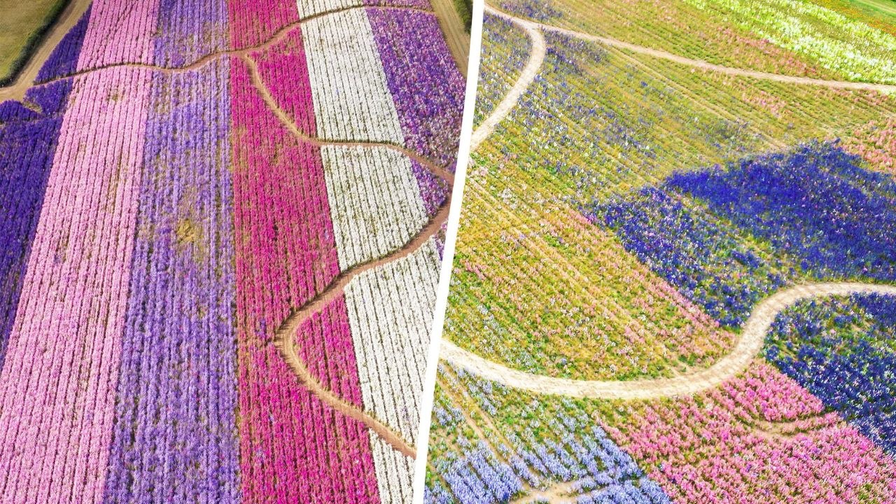 CON-WETTI - Rain-soaked spring cause washout for this year's confetti fields