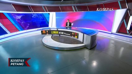 Detik-Detik BPBD dan Damkar Evakuasi Sapi Tercebur Sumur 10 Meter