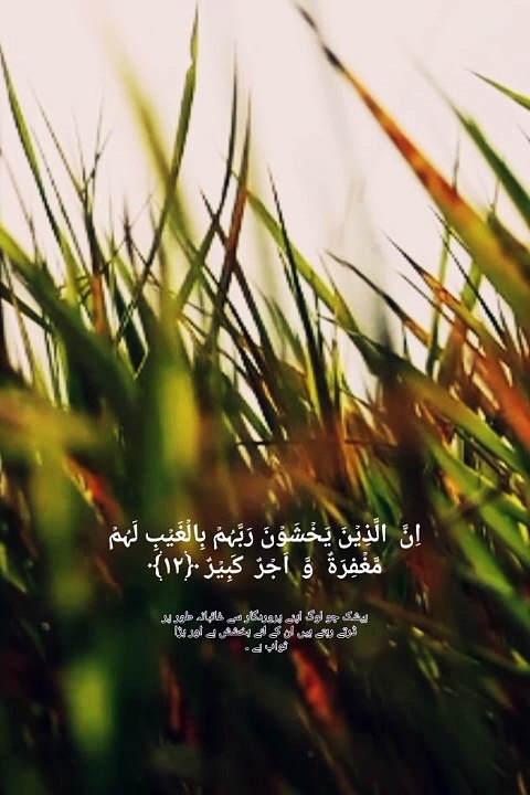 Surah mulk beautiful Quran recitation listen to everyone