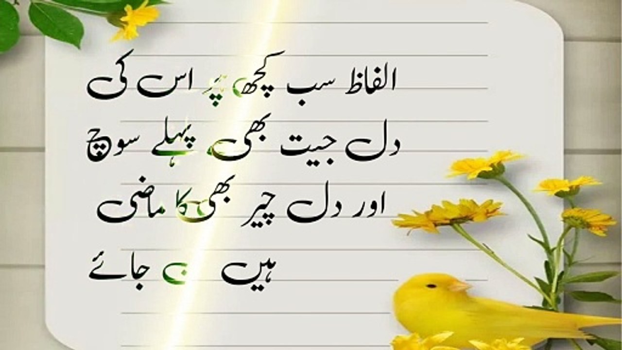 Golden Words in Urdu _ Heart Touching Quotes Collection _ Aqwal e Zareen _ Shameer Quotes