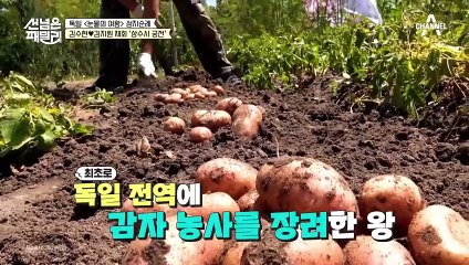 독일 '눈물의 여왕' 성지순례 첫 번째 코스! 김수현♥김지원 재회했던 '상수시 궁전'