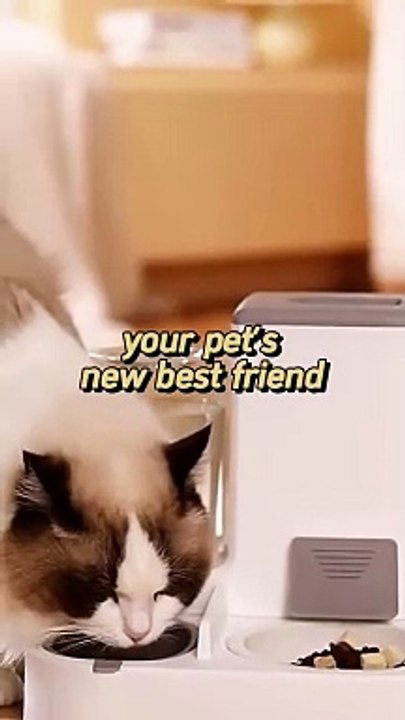 Automatic Cat Feeder with Large Capacity Water Di 1