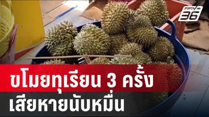 ภูเก็ตโจรชุม ขโมยทุเรียน 3 ครั้งเสียหายนับหมื่น | เข้มข่าวค่ำ | 28 มิ.ย. 67