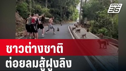 แชร์สนั่นชาวต่างชาติ ต่อยลมสู้ฝูงลิง | เข้มข่าวค่ำ | 28 มิ.ย. 67