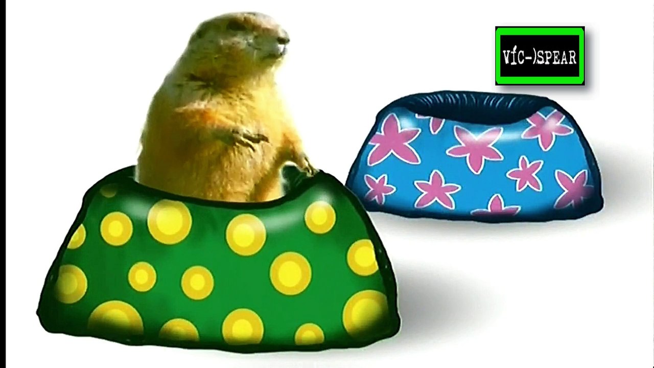 Animales Asombrosos: Familias Animales - Documental (1996) Español Latino