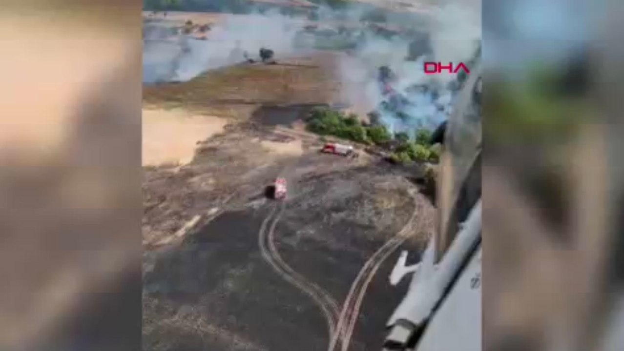 Balıkesir'de orman yangını