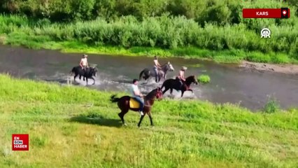 Kars'ta çiftçiler sıcaktan bunalan atlarını derede serinletiyor
