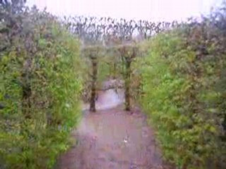 labyrinthe château de Villandry