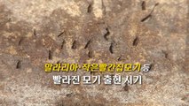 빨라진 모기와의 전쟁...기후변화 영향 [앵커리포트] / YTN