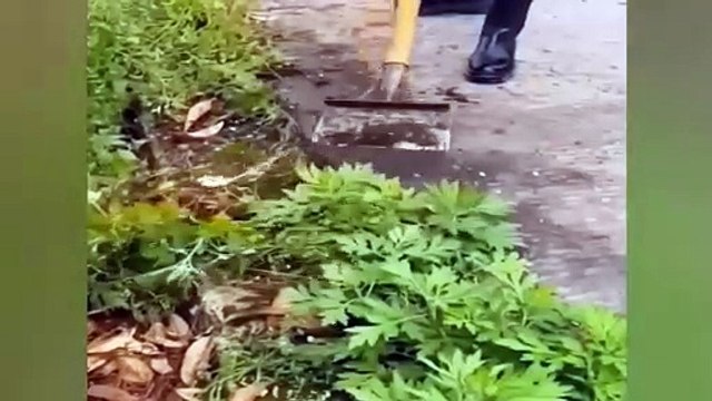 SATISFYING VIDEOS OF WORKERS WHO DO THEIR JOB PERFECTLY - Amazing People And Tools 02Fun Time