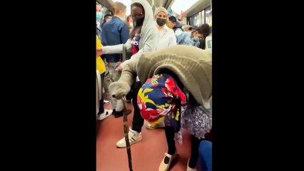 Best Funny Videos compilation - Fail And Pranks TRY NOT TO LAUGH Fun Time