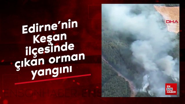 Edirne’nin Keşan ilçesinde çıkan orman yangını