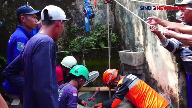 Evakuasi Sapi Seberat 300 Kg di Lumajang Tercebur Sumur Sedalam 10 Meter