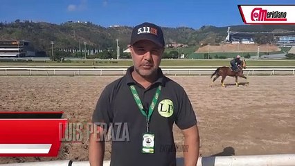 Hipismo: Luis Peraza, Entrenador.
