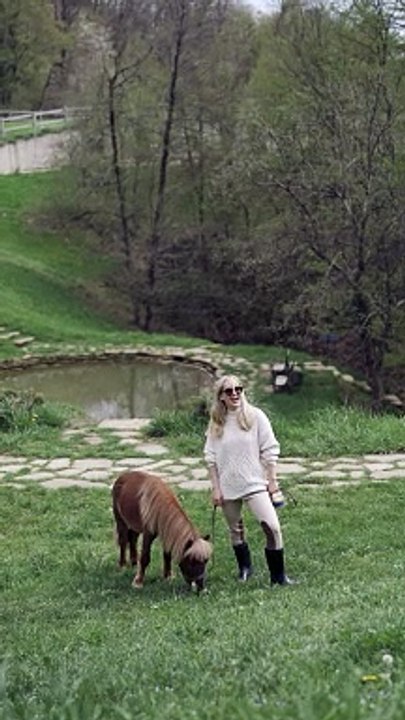 #animal #animals #nature #pet #cute #wildlife #love #dog #pets #photography #cat #cats #naturephotography #instagram #photooftheday