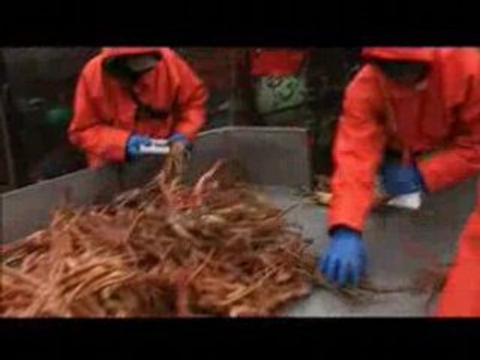 Deadliest Catch - Quick Catch 14