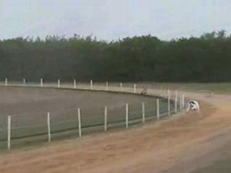 13 avril 2008 - entrainement Daphne