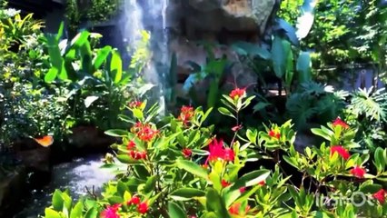 Relaxation with most beautiful and charming waterfall