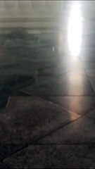 Islamic video life Madina munawara