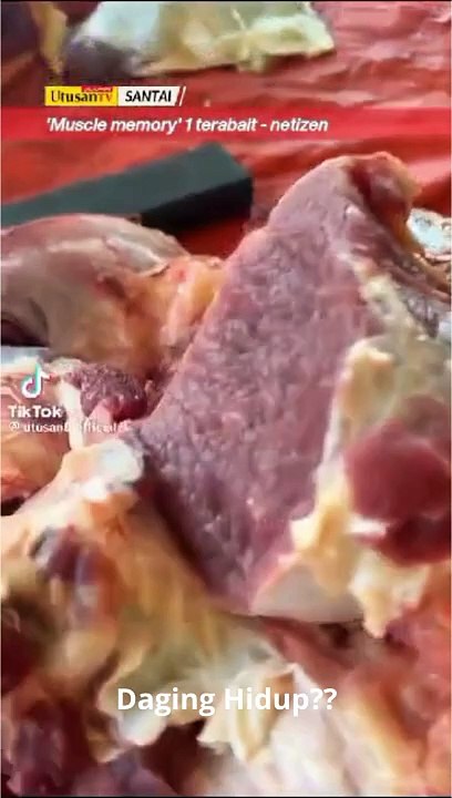 Daging Hidup?