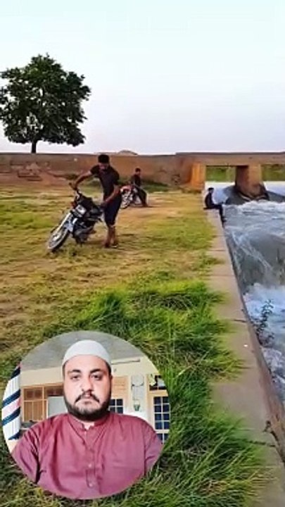 Reaction video