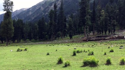 Jahaz Banda