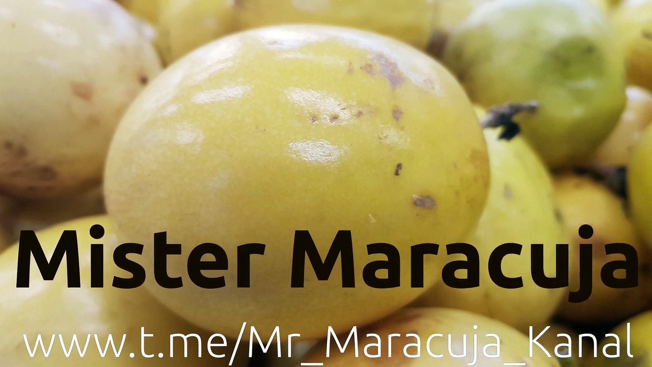 (303) Leben in Acre | AUSWANDERN nach BRASILIEN | BUNDESSTAATENSERIE