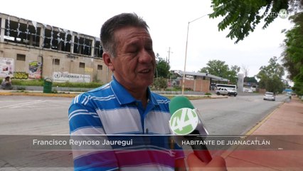 Lirio del Río Santiago anida enjambres de mosquitos en Juanacatlán