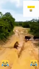 #FUNNYVIDEO#FUNNYMOMENTS#LAUGH#FUNNY