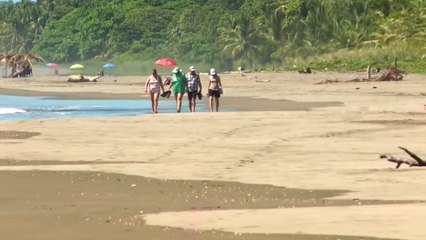 C7 Vidaplaya Update - June 28, 2024