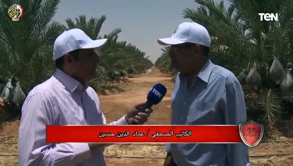 "بيفيد اقتصاد الوطن".. الكاتب الصحفي عماد الدين حسين عن مشروع "توشكى الخير"