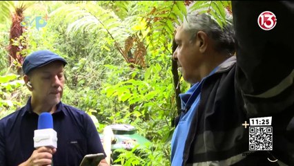 Pase en vivo - Siembra de árboles en San Pablo de León Cortés