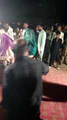 Funny videos  best shots