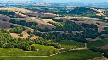 This California Destination Has Charming Small Towns, Incredible Wine, and a Stunning Coastline