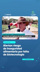 Alertan riesgo de inseguridad alimentaria por falta de biotecnología