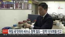 집행유예 중 또 '씨수소 정액' 훔쳐… 징역 1년6개월