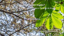 Frases em Inglês 0024 - Aprenda Inglês com Vídeos Curtos