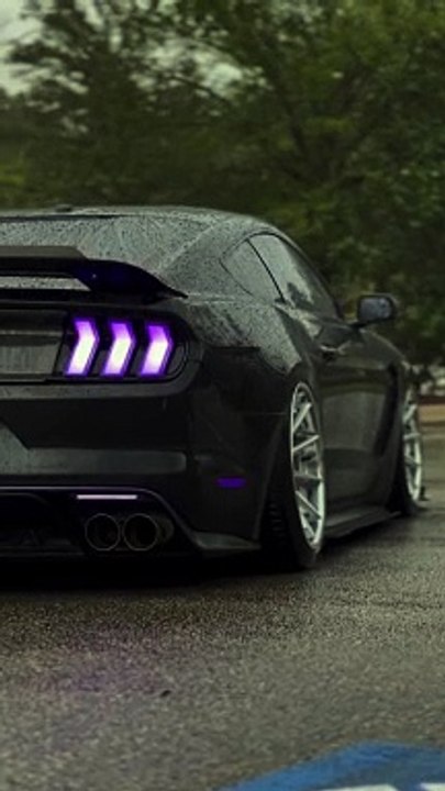 Car video