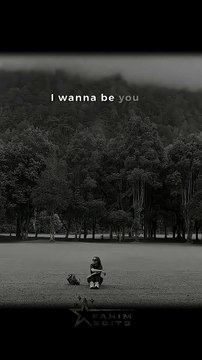 I Wanna Be Yours - Arctic Monkeys Maybe I just wanna be yours Song lyrics Aesthetic WhatsApp status✨