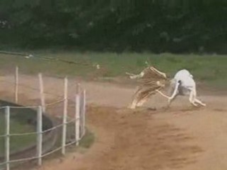 13 avril 2008 - entrainement Farik