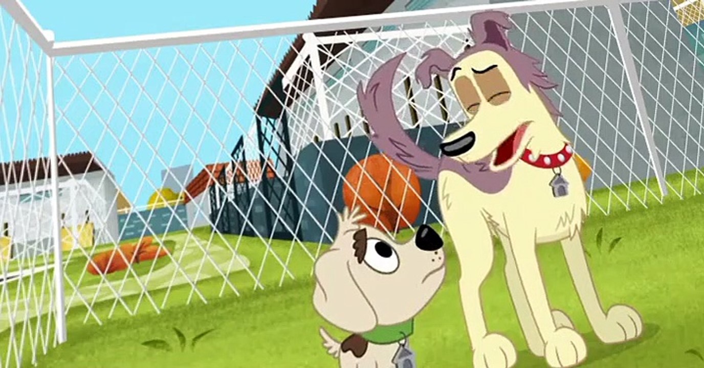 Pound Puppies 2010 Pound Puppies 2010 S01 E022 McLeish Unleashed