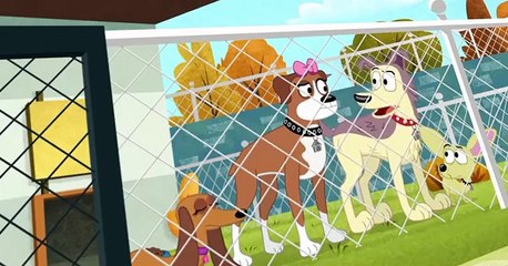 Pound Puppies 2010 Pound Puppies 2010 S02 E009 Squawk