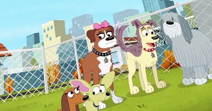 Pound Puppies 2010 Pound Puppies 2010 S02 E011 No Dogs Allowed