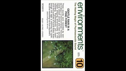 Environments 10 - Gentle Rain in a Pine Forest (Side A)