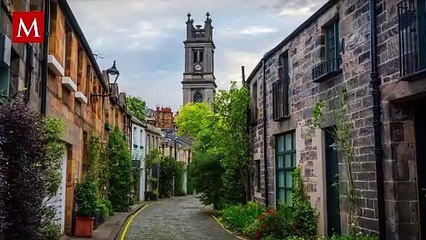 Sorprendente colmena de gigantezca de abejas descubierta en Escocia