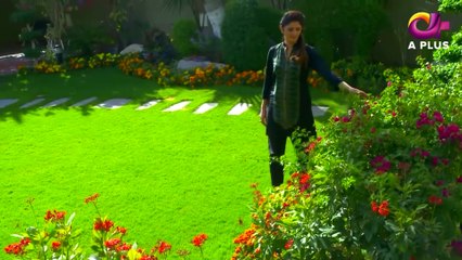 Man Mar Jaye Na - Episode 39 - aPlus Entertainment